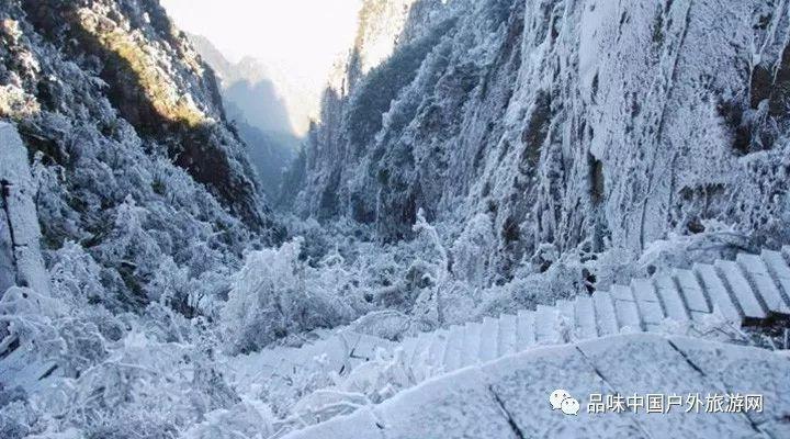 寻找沙漠珍宝